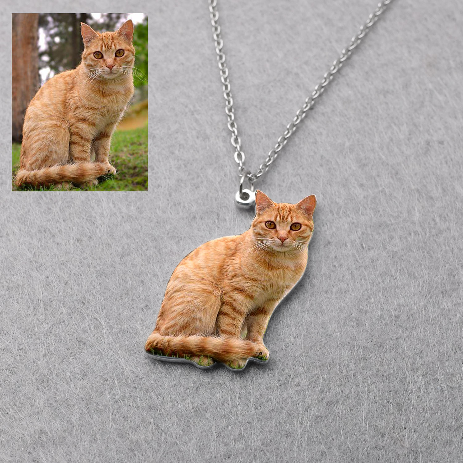 맞춤형 반려동물 사진 목걸이, 반려견 사진으로 제작,  - Pet Portrait Custom 리뷰 및 가격